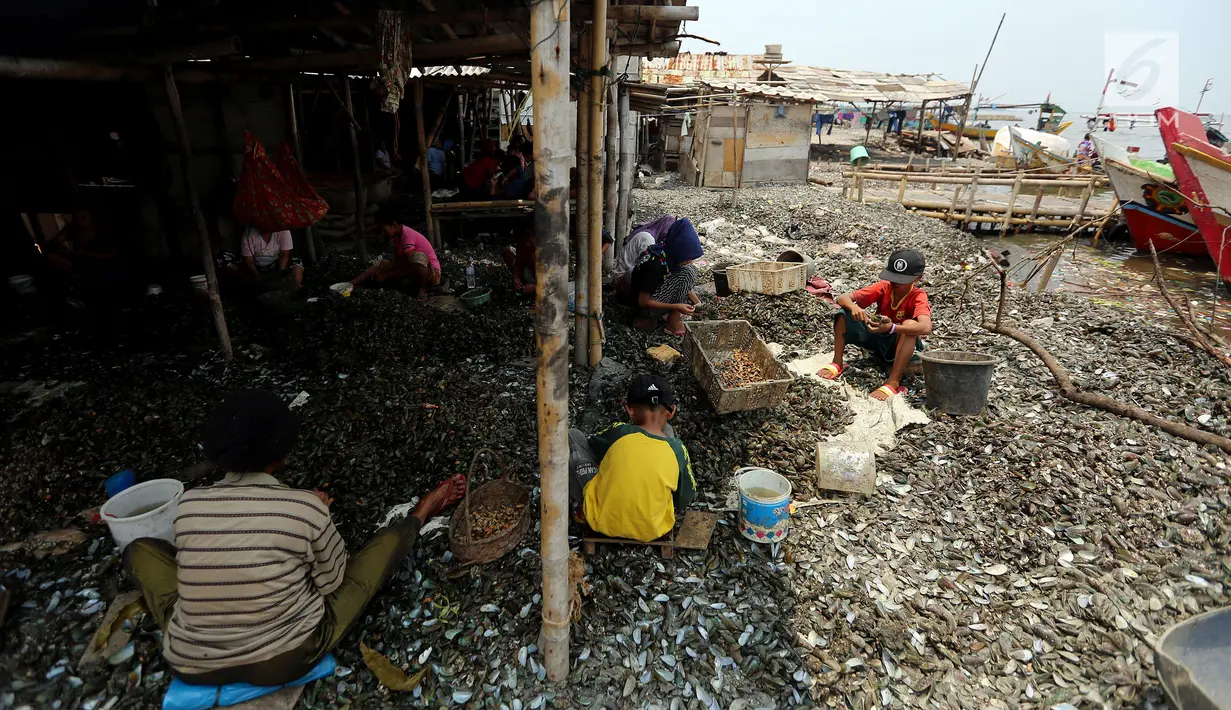 Warga setempat memproses kerang di kampung nelayan di Muara Angke, Jakarta, Senin (23/10). Mereka juga terus berharap kepada Janji Gubernur DKI Jakarta Anies Baswedan untuk menghentikan reklamasi di Pantai Utara Jakarta. (Liputan6.com/Johan Tallo)