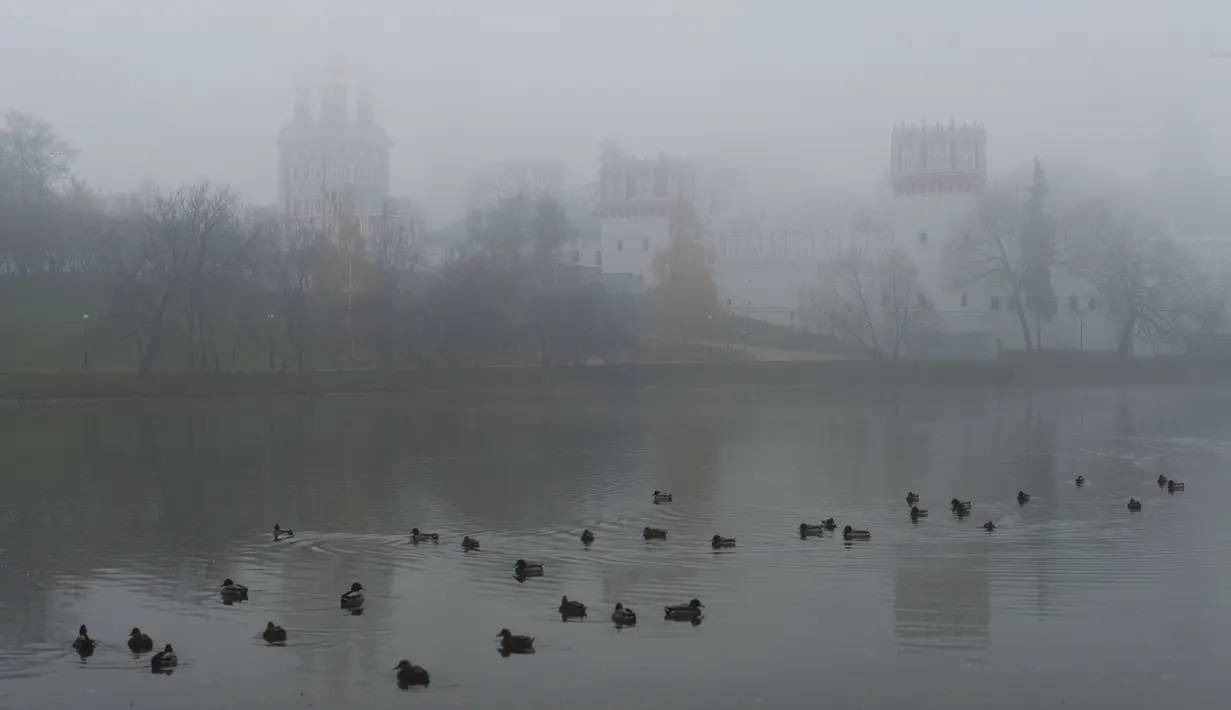 Bebek berenang di kolam dengan Biara Novodevichy sedikit terlihat melalui kabut, di Moskow, Rusia, Selasa (2/11/2021).  Kabut tebal menyelimuti ibu kota Rusia pada Selasa, menyebabkan banyak penundaan penerbangan di bandara Moskow. (AP Photo/Pavel Golovkin)