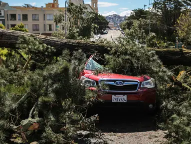 Pohon tumbang menimpa sebuah mobil setelah hujan badai lebat di Parker Avenue, San Francisco, California, Amerika Serikat, Rabu (22/3/2023). (Gabrielle Lurie/San Francisco Chronicle via AP)