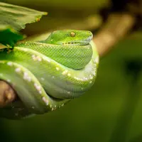 Ilustrasi/Copyright pixabay/Sepp