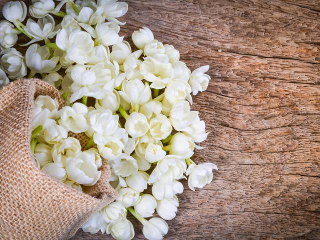 Mengungkap Kepribadian Perempuan Penyuka Bunga Melati Lifestyle Fimela Com