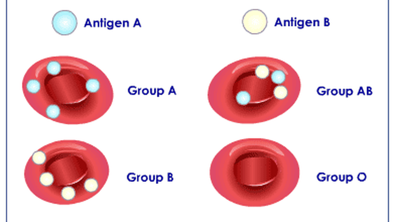 Waspada Penyakit Berdasarkan Golongan Darah