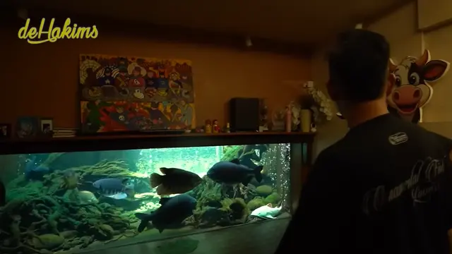 Potret kolam ikan di rumah Irfan Hakim