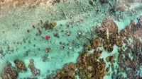 Drone Photography - A Day in the Coral Garden (www.dronestagr.am)
