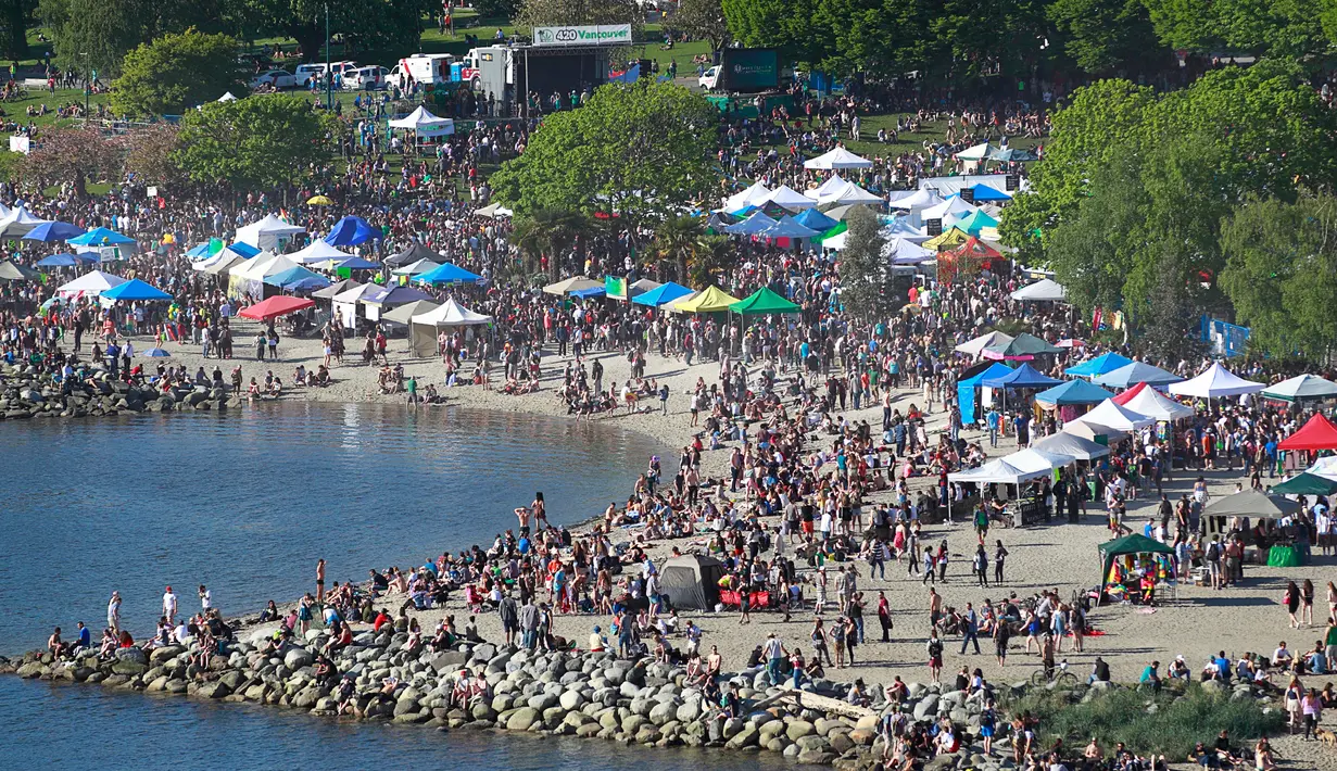 Ribuan orang berkumpul dalam acara legalisasi ganja 4/20 di Sunset Beach, Vancouver, Kanada (20/4). Menurut Menteri Kesehatan Jane Philpott tahun depan Kanada akan mempersiapkan melegalkan ganja. (AFP/Jeff Vinnick)