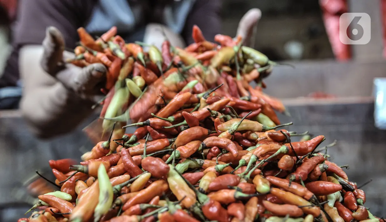 Pedagang merapikan cabai rawit merah yang dijual di Pasar Senen, Jakarta, Kamis (4/3/2021). Data Ikatan Pedagang Pasar Indonesia (Ikappi) mencatat harga cabai rawit merah saat ini di pasaran berkisar Rp120.000 per kilogram. (merdeka.com/Iqbal S. Nugroho)