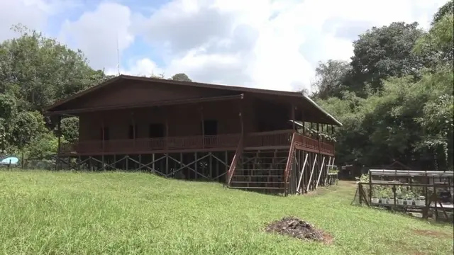 8 Potret Rumah Andrew Kalaweit di Tengah Hutan Kalimantan, Dulu Bekas Peternakan