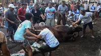 Diperlukan kecakapan dan pengalaman untuk memotong hewan kurban khususnya sapi. (Liputan6.com/Johan Tallo)