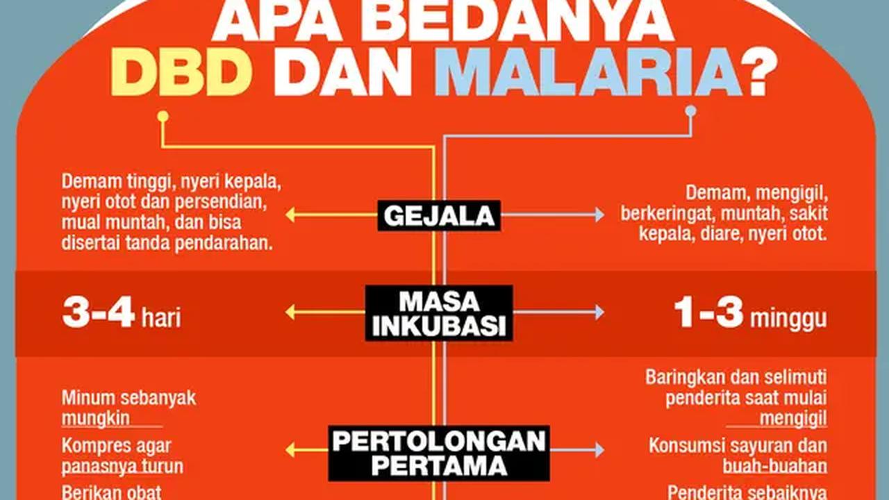 Apa bedanya DBD dan Malaria?