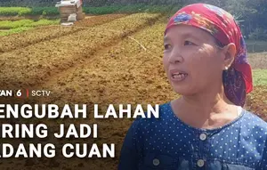 Mengubah Lahan Kering Jadi Ladang Cuan