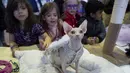 Anak-anak memeriksa Soho, seekor anjing berjenis sphinx, dalam kompetisi Westminster Kennel Club 142nd Annual Dog Show di New York, Amerika Serikat, Sabtu (10/2). (AP Photo/Mary Altaffer)