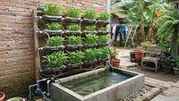 Cara Membuat Aquaponik Vertikal dari Botol Bekas untuk Menanam Kangkung dan Memelihara Ikan