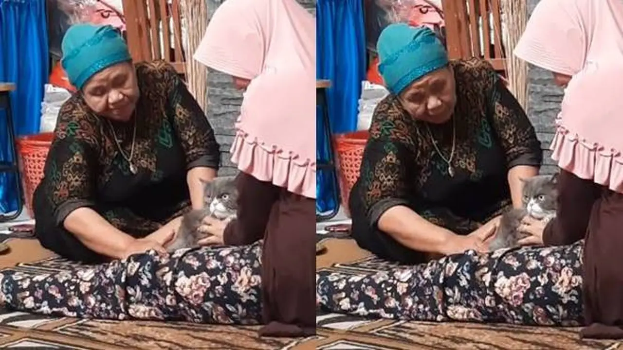 Viral Momen Kucing Keseleo Dibawa ke Tukang Urut Ini Ekspresinya Kocak
