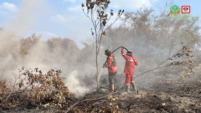Manggala Agni Tangani Karhutla Riau Seluas 100 Hektare Lebih di Dua Kabupaten