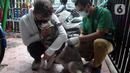Vaksin rabies ini mengarah pada sasaran anjing, kucing, kera, dan musang secara berkelanjutan dan pengendalian populasi melalui sterilisasi hewan penular rabies (HPR). (merdeka.com/Imam Buhori)
