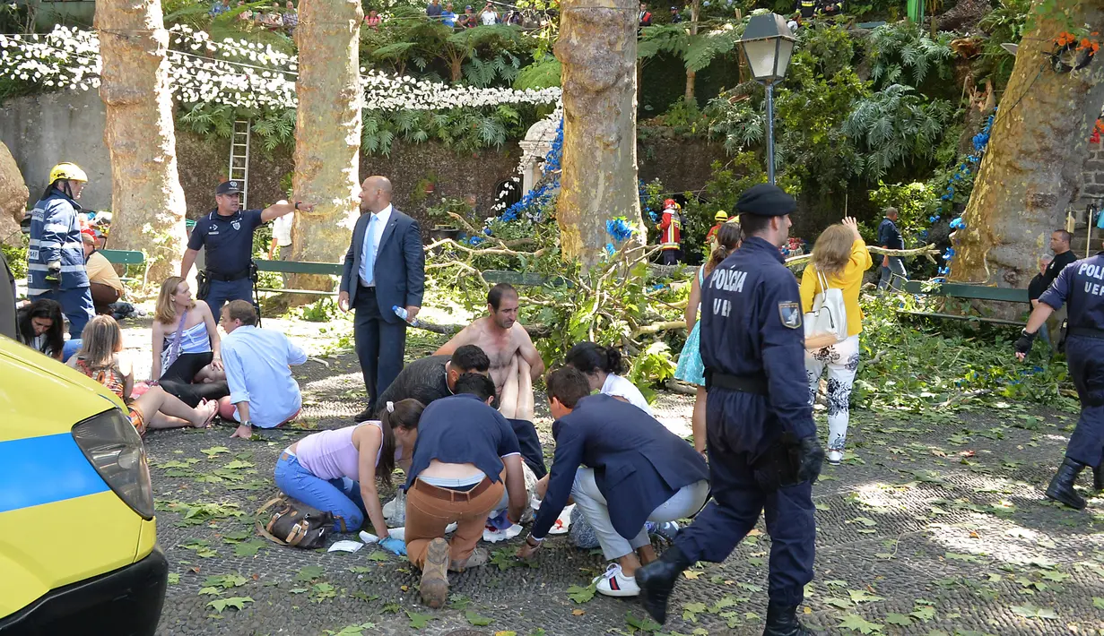 Warga menolong korban korban pohon tumbang di Funchal, Portugal (15/8). Sebuah pohon ek berusia 200 tahun tumbang dan menimpa kerumunan orang yang berada di sebuah alun-alun di wilayah sub-urban Funchal. (AFP Photo/Rui Silva)