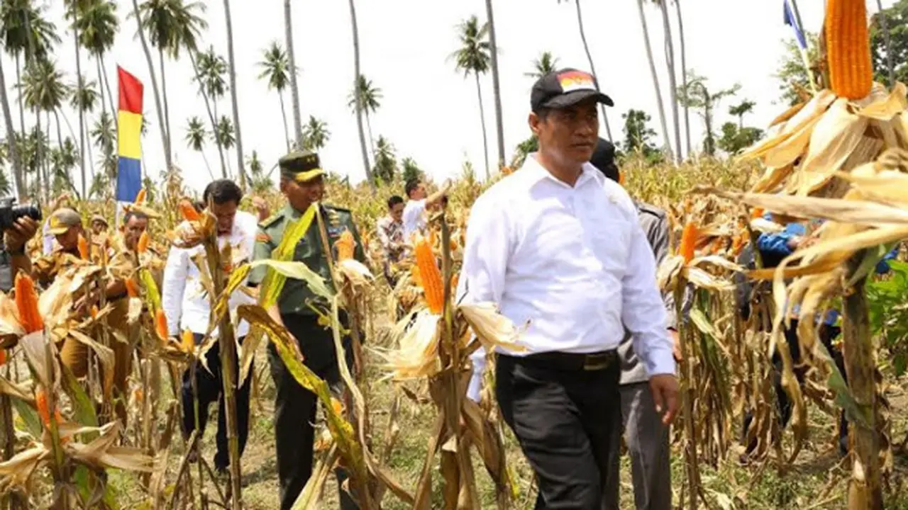 Kinerja Sektor Pertanian Wujud Implementasi Agenda Prioritas Nawacita