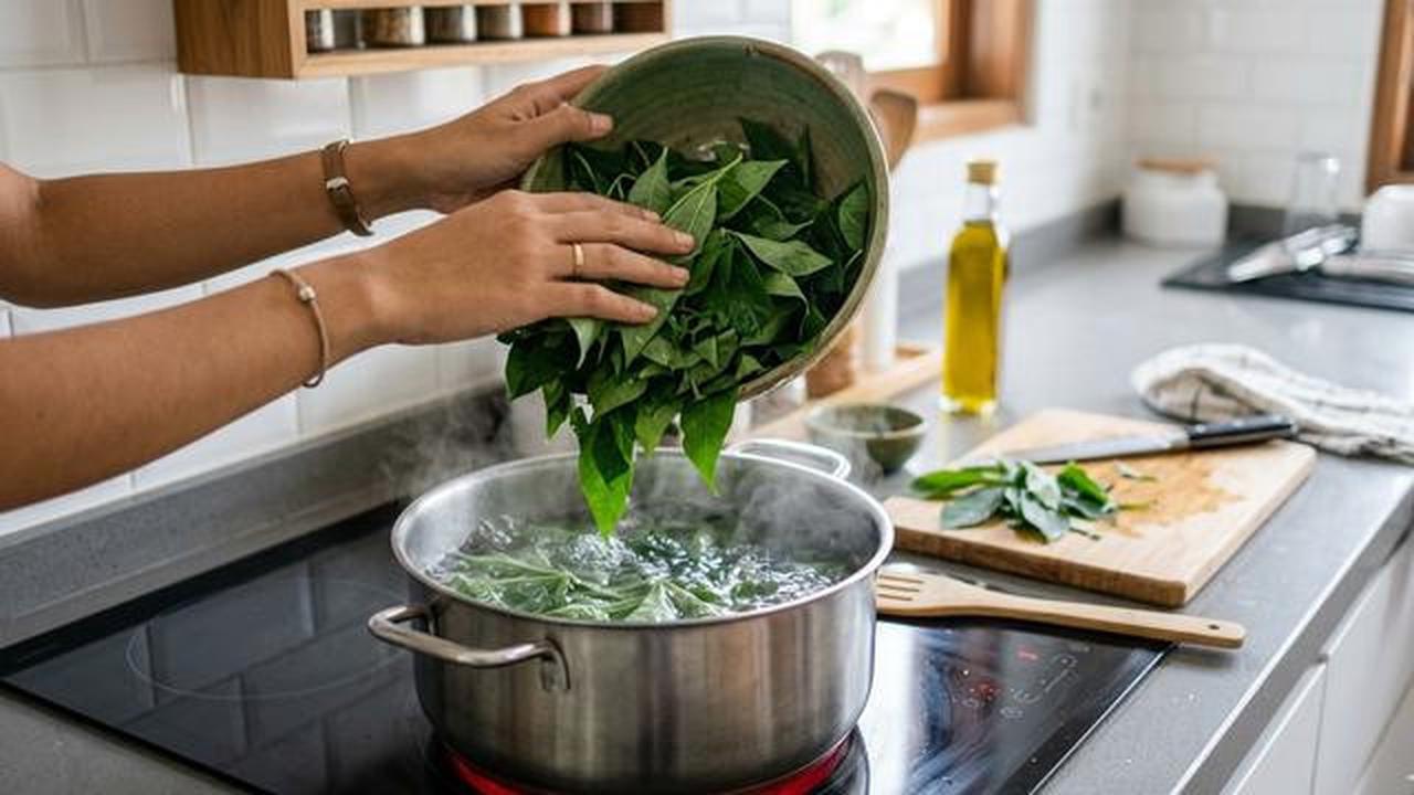 Cara Rebus Daun Singkong Ala Rumah Makan Padang, Tetap Hijau dan Empuk