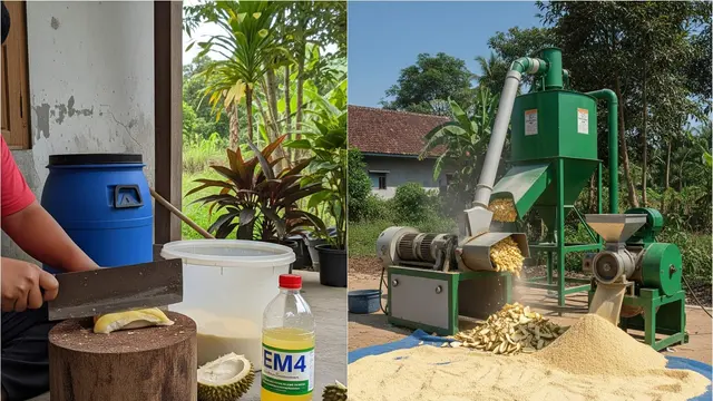 Cara Olah Kulit Durian Jadi Pakan Ternak