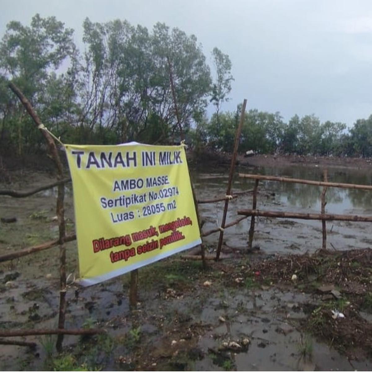 Lahan Mangrove Kuri Lompo