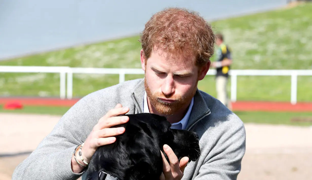 Ini saat Pangeran Harry main bersama seekor anjing. Mukanya menggemaskan banget! (Chris Jackson - WPA Pool/Getty Images/USWeekly)
