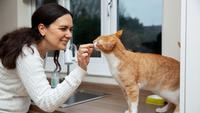 5 Trainings To Make Your Cat Becomes Clingy at You
