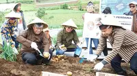 PT Geo Dipa Energi (Persero) bersama Universitas Gajah Mada (UGM) menggelar kegiatan Panen Perdana Pupuk Sulasih Sulandjana. Panen berlangsung di Pad 38, Desa Karang Tengah, Dieng, Kabupaten Banjarnegara, pada pada Kamis, 5 Juli 2024.