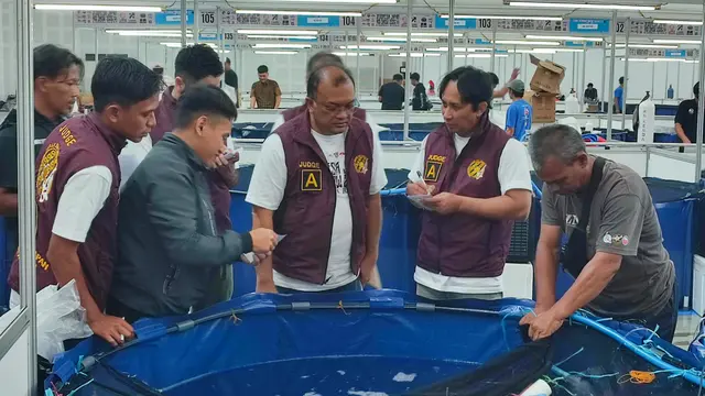 Ribuan ikan koi dari berbagai daerah di Indonesia mengikuti kontes Indonesia Japan Koi Show 2026 Internal Glory yang digelar di Badan Riset dan Inovasi Nasional (BRIN), Bogor, Jawa Barat. (Liputan6.com/Achmad Sudarno)