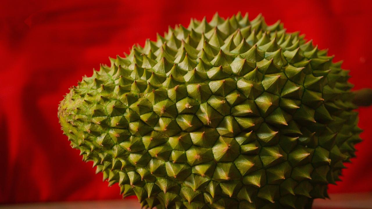 Apakah Darah Tinggi Boleh Makan Durian? Berikut Penjelasan Lengkap serta Fakta dan Mitosnya