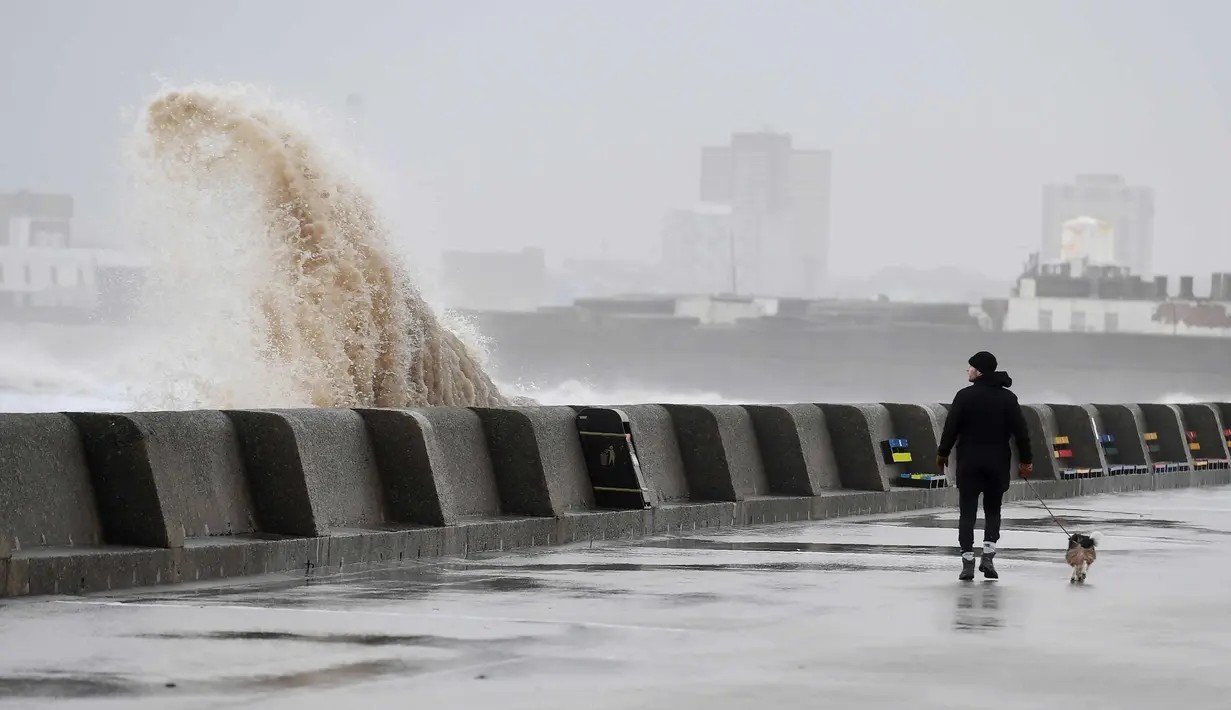 Seorang pria bersama anjingnya berjalan disamping ombak yang disebabkan badai Eleanor Eleanor di sepanjang pinggir laut di New Brighton, Inggris barat laut (3/1). (AFP Photo/Paul Ellis)