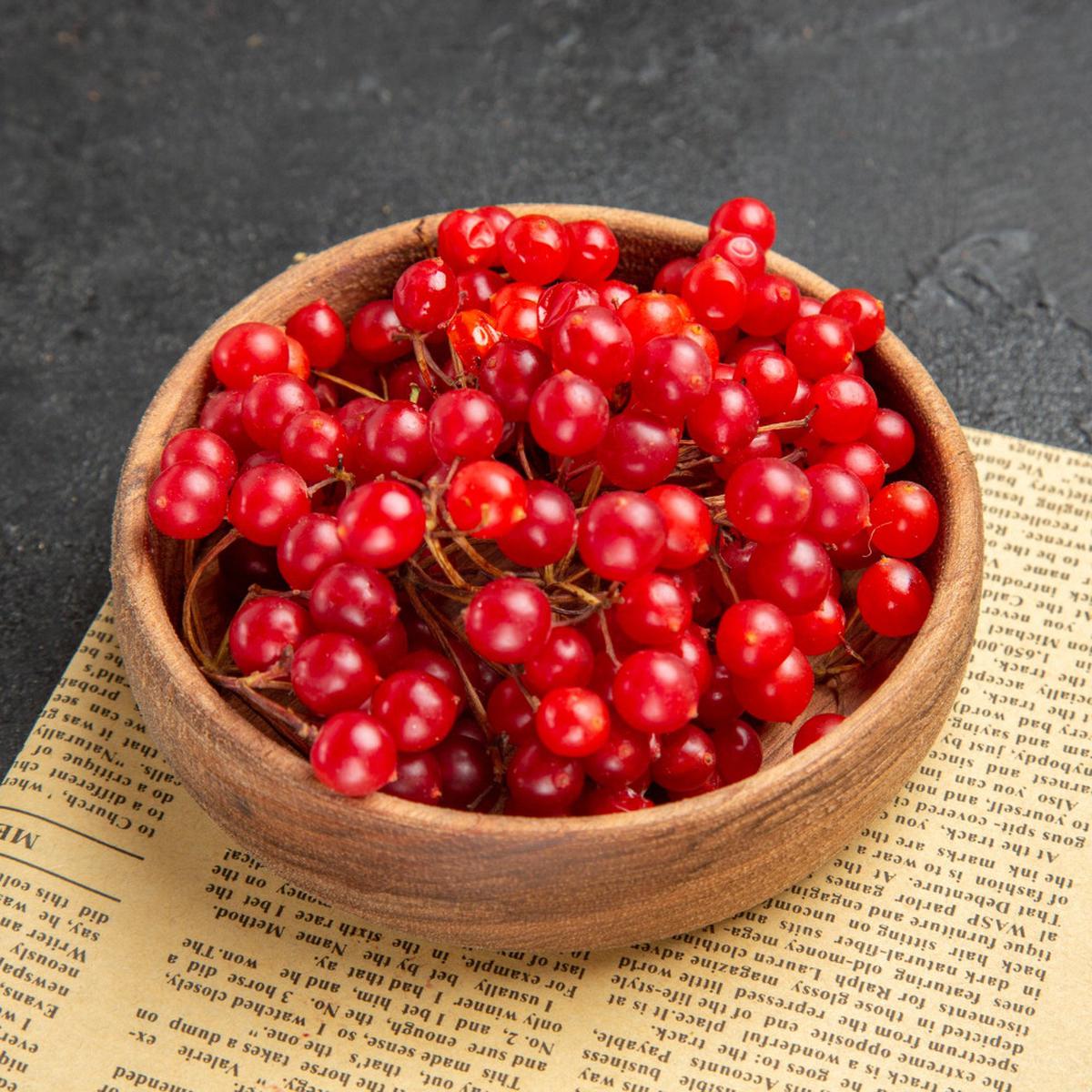 Ilustrasi Schisandra Chinensis (&copy;Freepik)