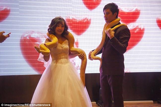 Pasangan di China bertukar ular piton di hari pernikahan mereka | Photo: Copyright asiantown.net