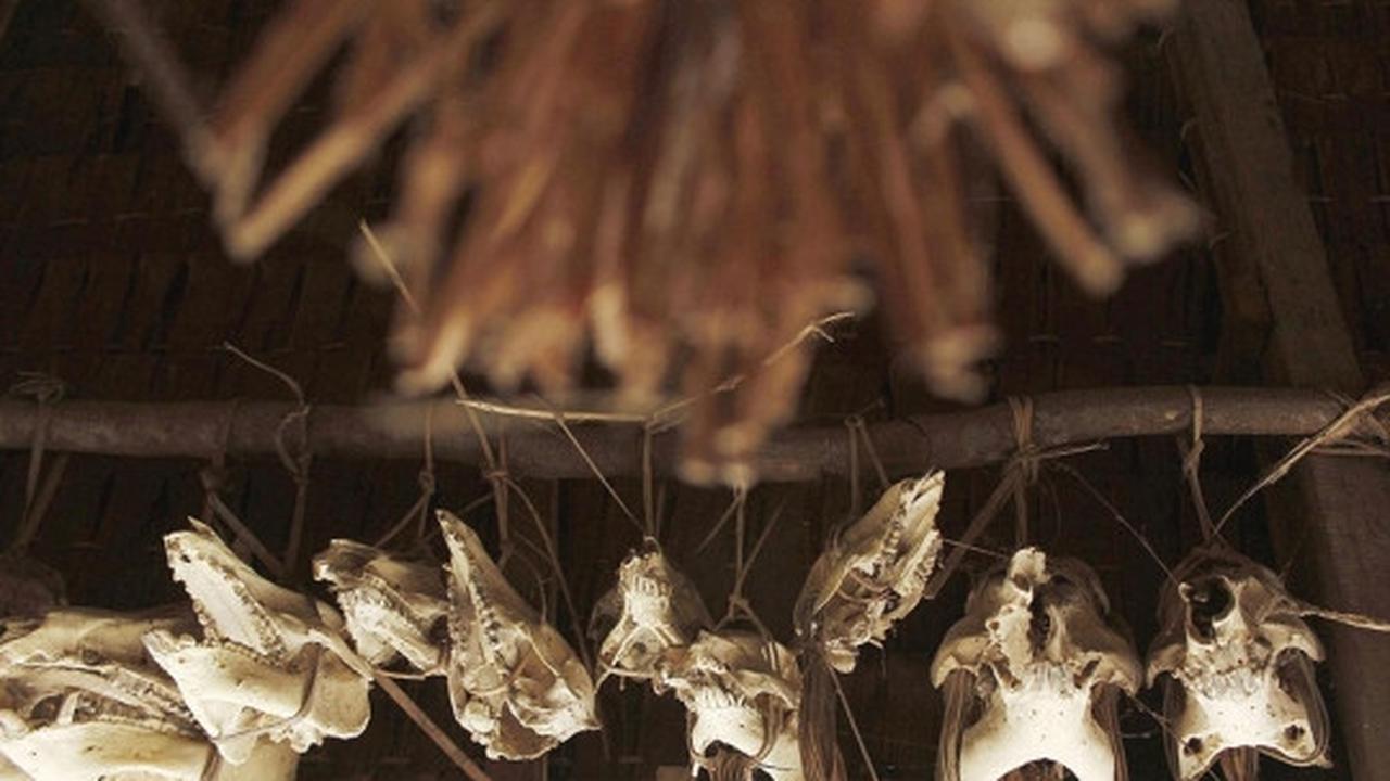 Menengok kehidupan tradisional suku Mentawai
