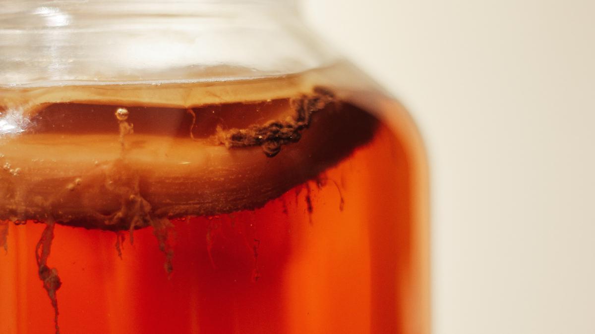 6 Manfaat Teh Kombucha untuk Menurunkan Kolesterol Secara Alami