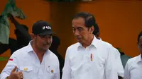 Presiden Joko Widodo (Jokowi) didampingi Menteri Pertanian Syahrul Yasin Limpo meninjau program lumbung pangan nasional atau Food Estate di Kabupaten Keerom, Provinsi Papua. (Foto: Istimewa)