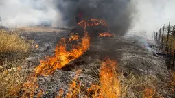 Sebuah mobil yang terbakar akibat kebakaran yang disebut Apple Fire di dekatnya di Cherry Valley, California (1/8/2020). Sebanyak 7.800 warga yang dievakuasi berasal dari 2.586 rumah. Mereka telah diminta untuk mengungsi ke tempat yang lebih aman. (AP Photo/Ringo H.W. Chiu)