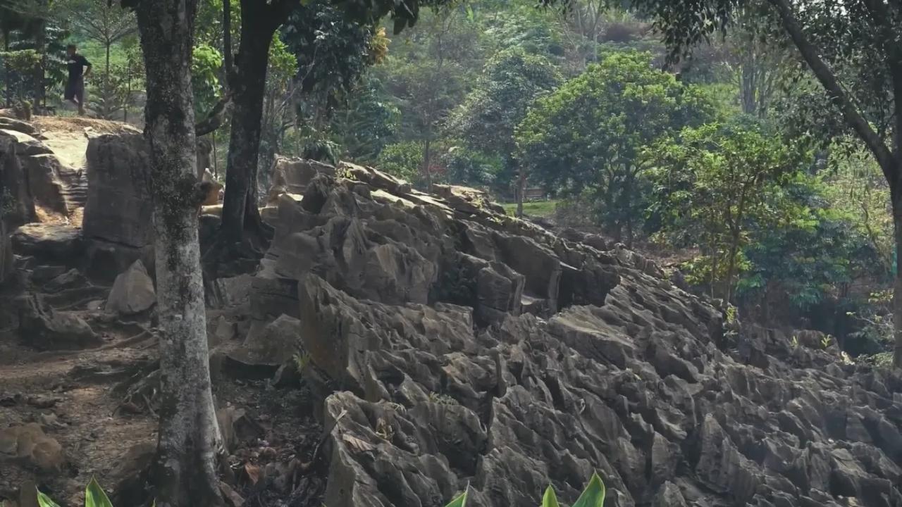 Ditemukan tidak sengaja oleh petani