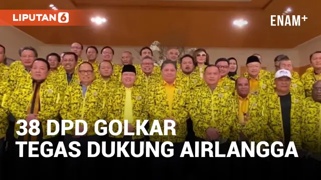 Tegas! 38 DPD Tolak Munaslub dan Dukung Airlangga Hartarto