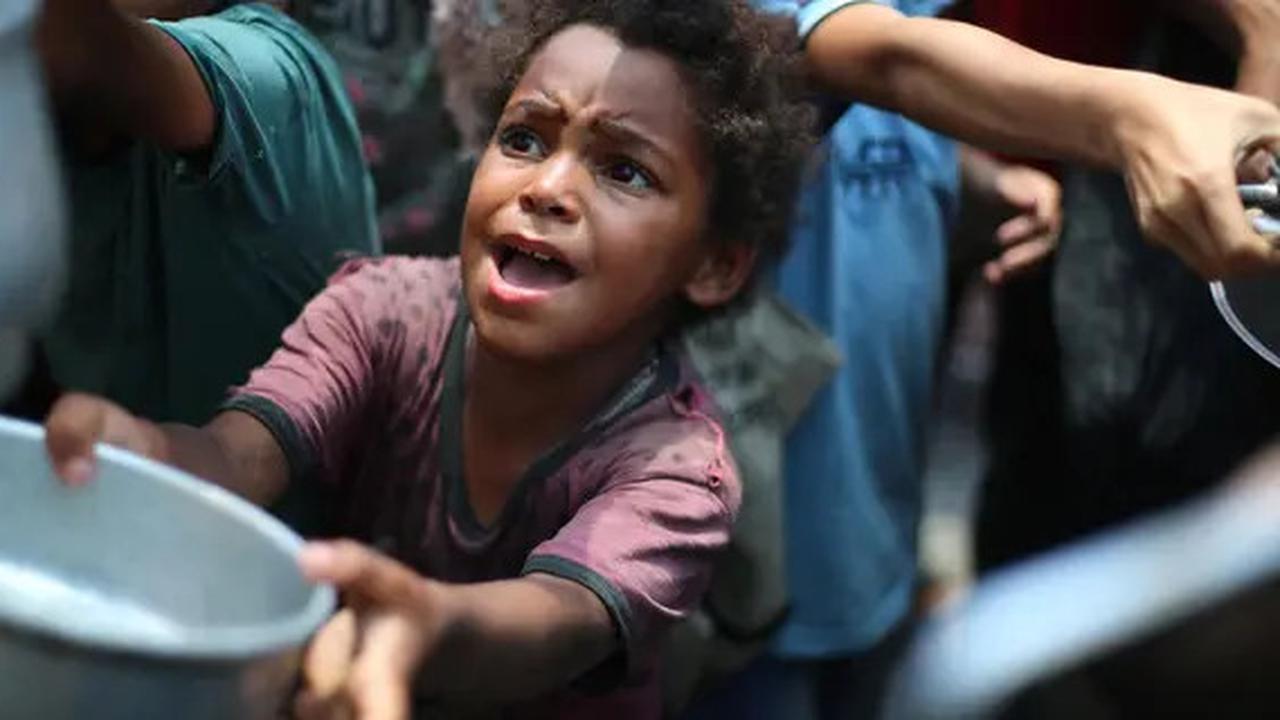 Kondisi Gaza Makin Menyedihkan, Korban Meninggal Akibat Kelaparan 227 Orang
