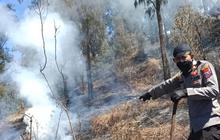 Karhutla di Gunung Arjuno Meluas, Tim Pemadam Kesulitan Hadapi Medan Terjal
