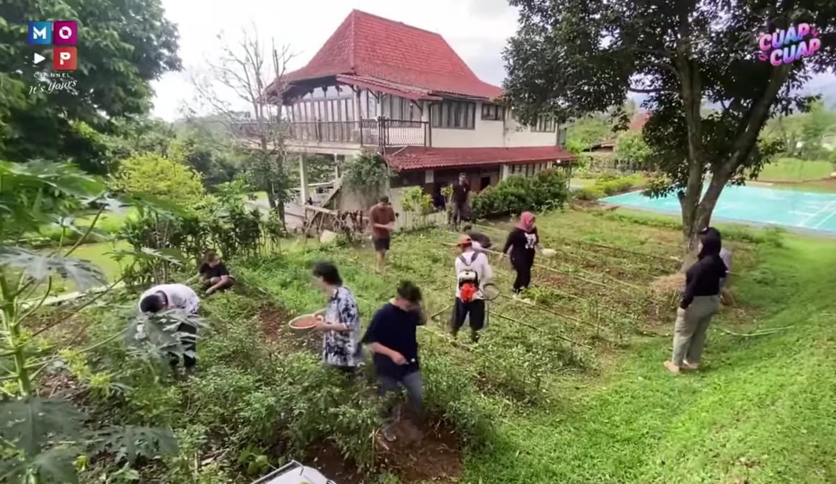 Panen Cabai yang Segar, Ruben Onsu Kini Jajal Berkebun