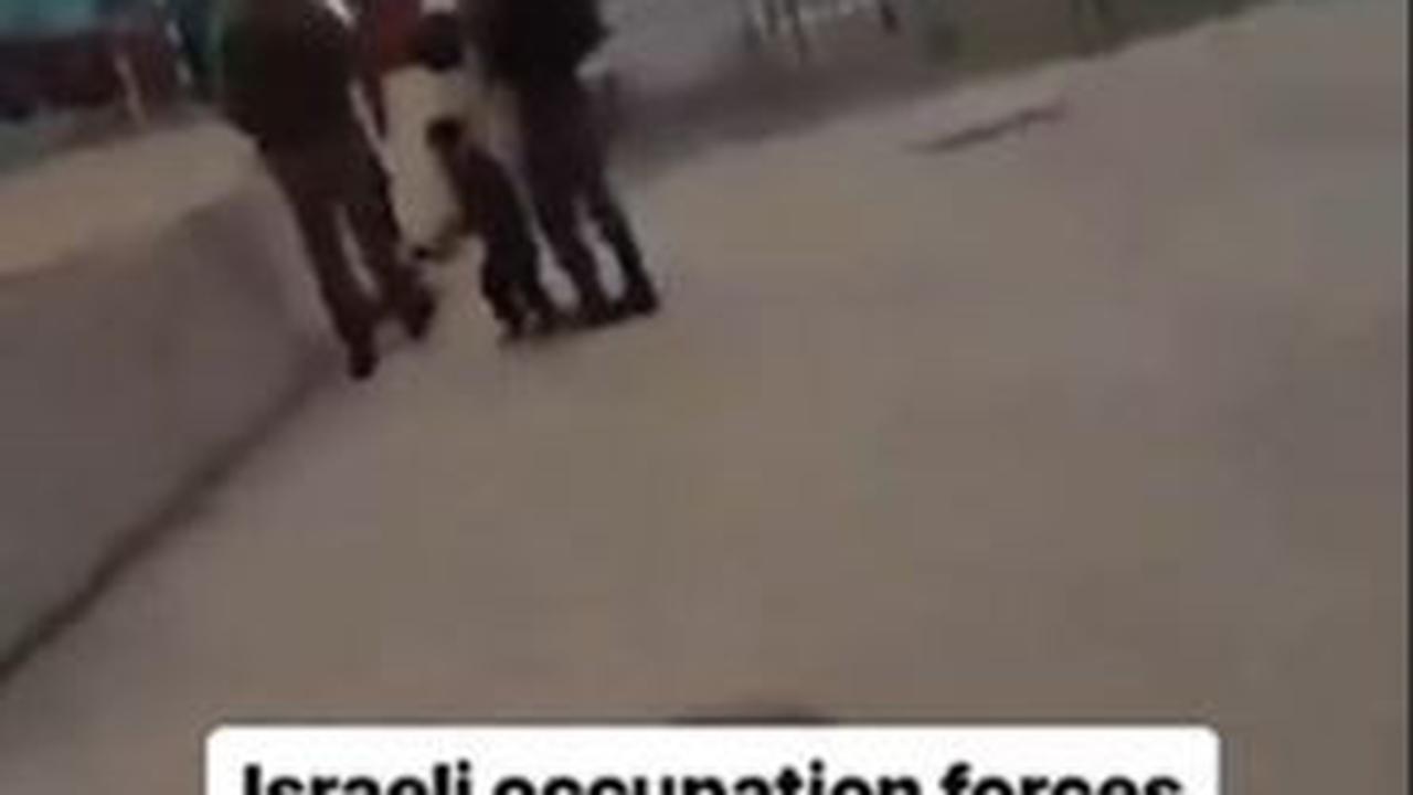Sebuah video yang memperlihatkan tentara Israel menangkap anak usia 2 tahun, viral di media sosial.