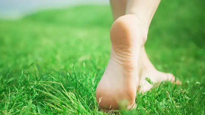 Foto: copyright by shutterstock.com