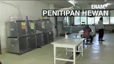 Jasa penitipan hewan kebanjiran order, pasalnya pemilik  hewan menitipkan hewan peliharaanya untuk merayakan hari raya Idul Fitri.