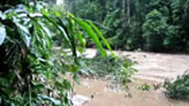 Banjir Bandang Nyaris Hanyutkan Peneliti Bidadari Halmahera