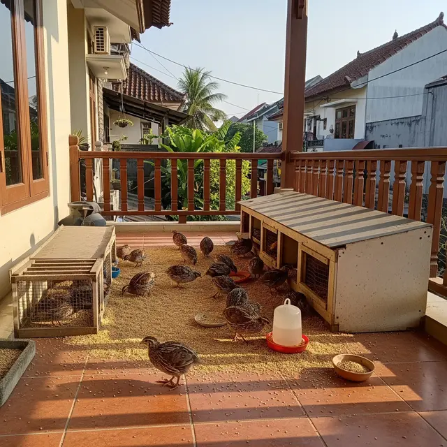 9 Ternak Mini di Teras Rumah yang Hasilnya Bisa Jadi Uang Jajan Harian, Menguntungkan