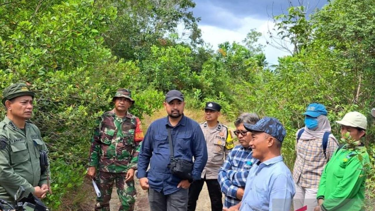 Kemenhut Gencarkan Restorasi 50 Hektar Lahan Bekas Tambang Timah di Bangka Belitung