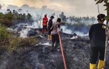 Natuna Tetapkan Status Tanggap Darurat Akibat El Nino, Antisipasi Kekeringan dan Karhutla