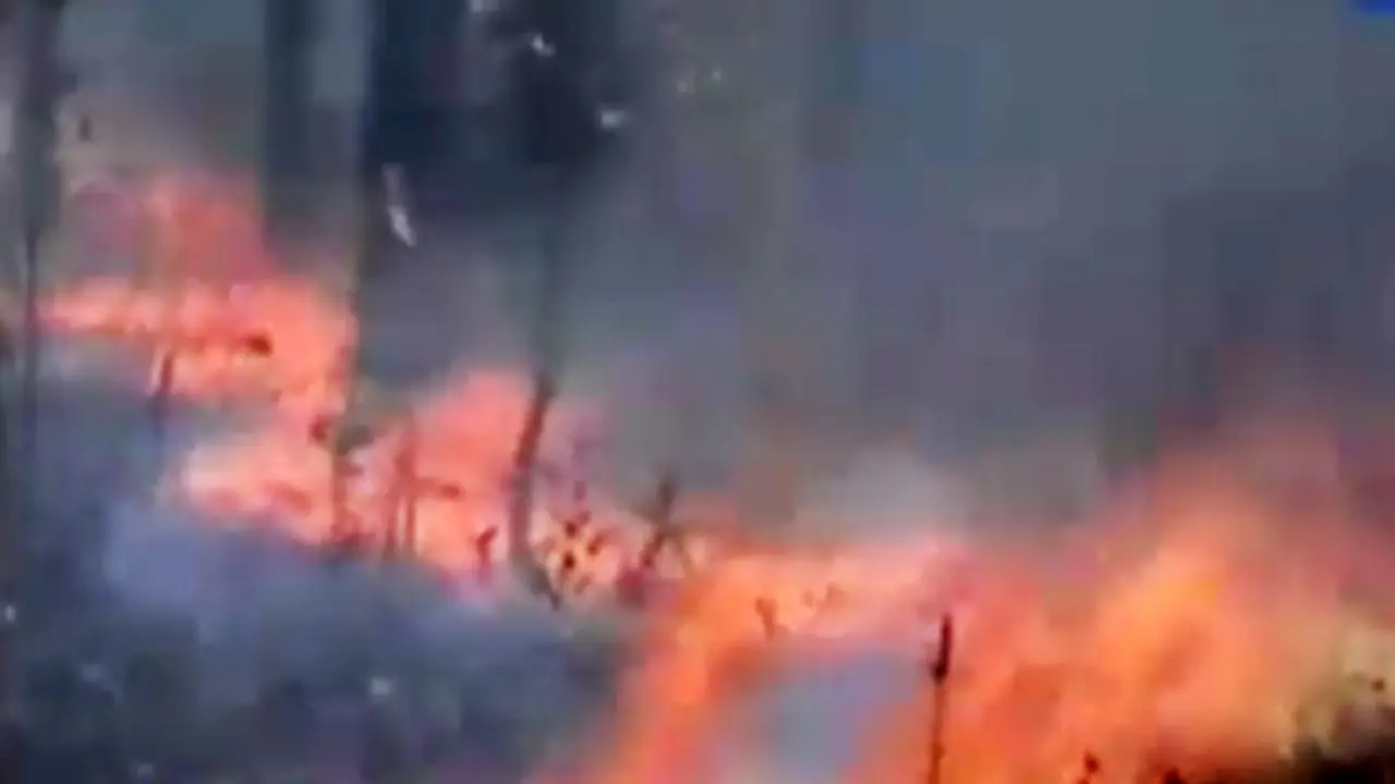 Taman Nasional Terbakar
