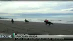 Warga berharap dengan acara seperti ini makin banyak wisatawan baik lokal maupun dari luar daerah berkunjung ke Pantai Kuala Jangka.